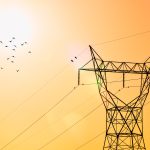 Flock of Birds Flying Over an Electrical Tower. Photo courtesy of Mian Rizwan on Pexels.