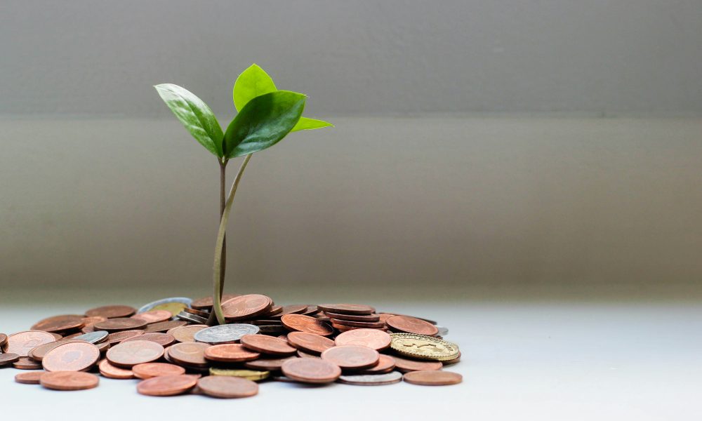 tree growing out of cents