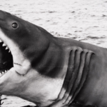 Image of the puppet shark from Jaws, with Steven Spielberg holding its mouth open